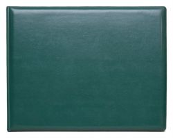 Single Panoramic Vinyl Diploma Case