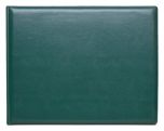 Single Panoramic Vinyl Diploma Case